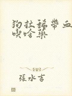 狗拉稀带血呕吐吃啥药