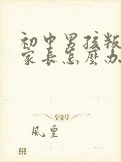 初中男孩叛逆期家长怎么办