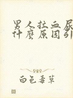 男人拉血尿血是什么原因引起的