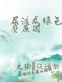 尿液成绿色是什么原因