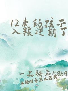 12岁的孩子进入叛逆期了吗