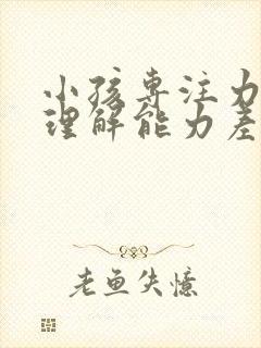 小孩专注力不好理解能力差应该怎么办