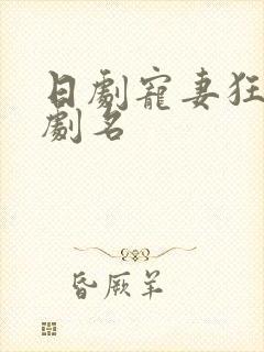 日剧宠妻狂魔的剧名