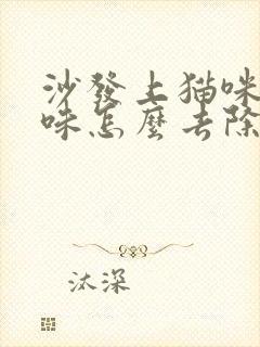 沙发上猫咪尿骚味怎么去除