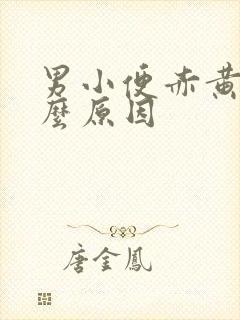 男小便赤黄是什么原因