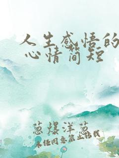 人生感悟的句子 心情简短