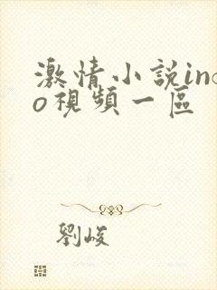 激情小说info视频一区