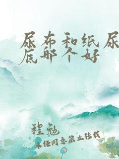 尿布和纸尿裤到底哪个好