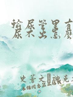 输尿管里有结石尿不出怎么办