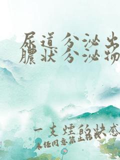 尿道分泌出流黄脓状分泌物原因