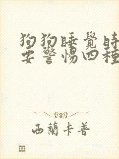 狗狗睡觉时尿流要警惕四种病