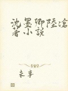 沈墨卿陆沧鸣原著小说