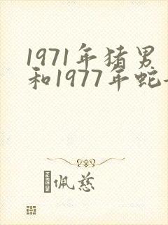 1971年猪男和1977年蛇女婚姻怎样