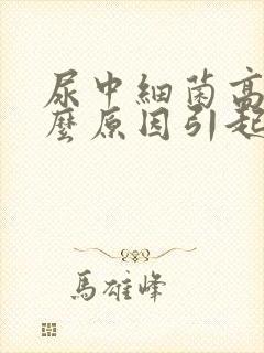 尿中细菌高是什么原因引起的