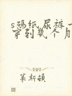 s码纸尿裤一般穿到几个月