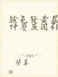 脸色发黄尿黄是什么原因引起的