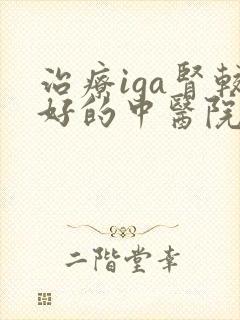 治疗iga肾较好的中医院