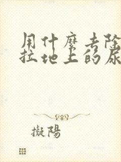 用什么去除狗狗拉地上的尿味