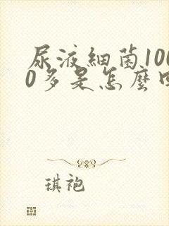 尿液细菌1000多是怎么回事