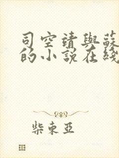 司空靖与苏月汐的小说在线阅读