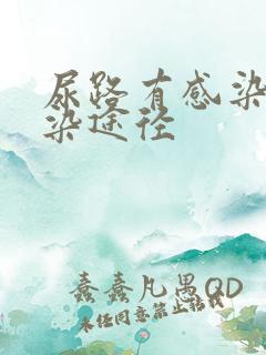 尿路有感染的感染途径