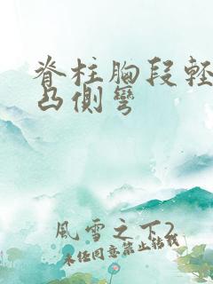 脊柱胸段轻度右凸侧弯