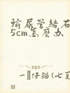 输尿管结石0.5cm怎么办