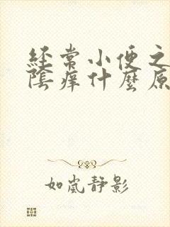 经常小便之后外阴痒什么原因