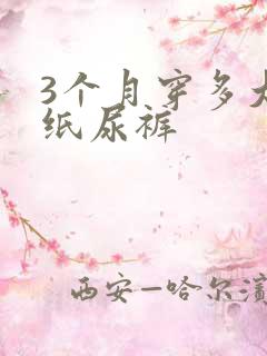 3个月穿多大的纸尿裤