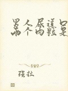 男人尿道口长了两个肉粒是怎么回事