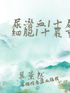 尿潜血1十尿白细胞1十严重吗