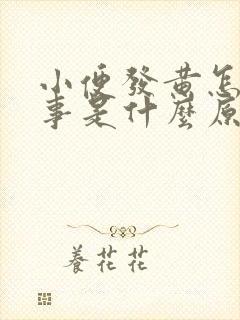 小便发黄怎么回事是什么原因