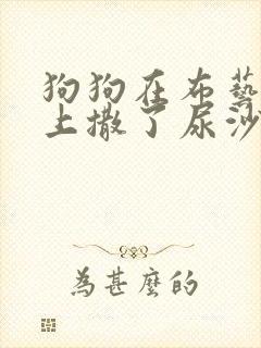 狗狗在布艺沙发上撒了尿沙发怎么办