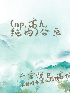 (np,高h,纯肉)公车
