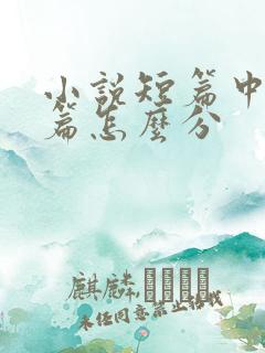 小说短篇中篇长篇怎么分