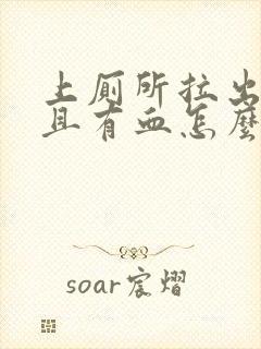 上厕所拉出屎并且有血怎么回事