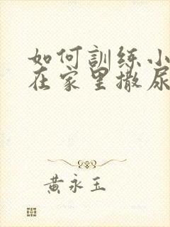 如何训练小狗不在家里撒尿拉屎