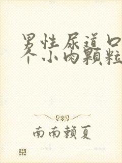 男性尿道口长了个小肉颗粒