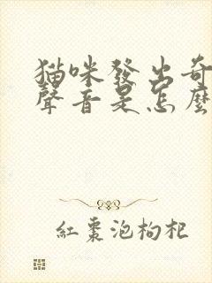 猫咪发出奇怪的声音是怎么回事