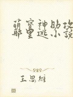 萌宝神助攻爹地哪里逃小说