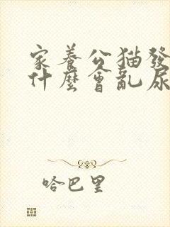 家养公猫发情为什么会乱尿