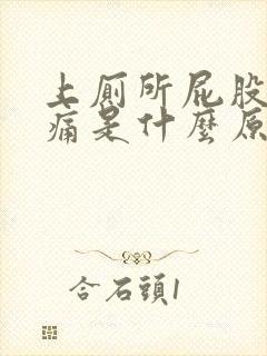 上厕所屁股出血痛是什么原因?