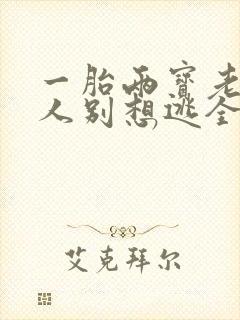 一胎两宝老婆大人别想逃全文免费阅读