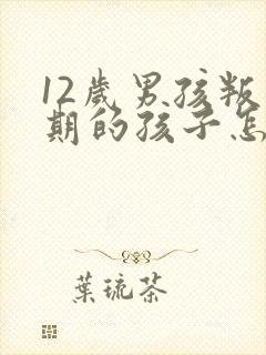 12岁男孩叛逆期的孩子怎么去引导