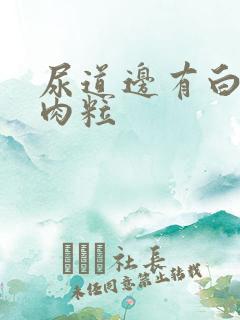 尿道边有白色小肉粒