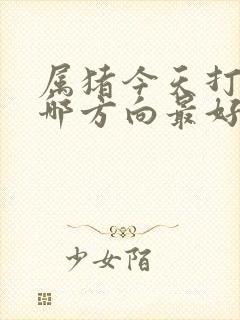 属猪今天打牌坐哪方向最好