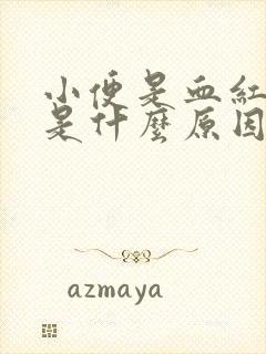 小便是血红色的是什么原因