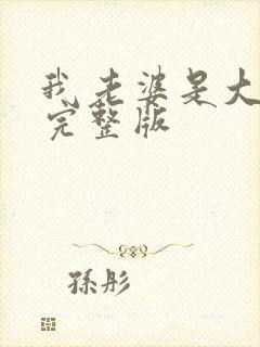 我老婆是大明星完整版