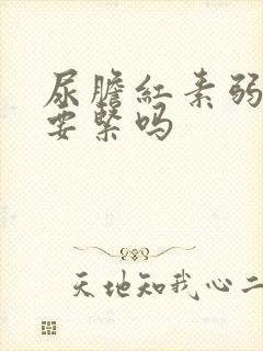 尿胆红素弱阳性要紧吗