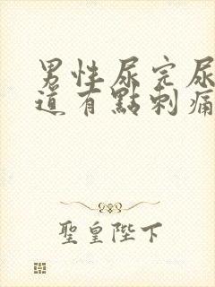 男性尿完尿后尿道有点刺痛还想尿